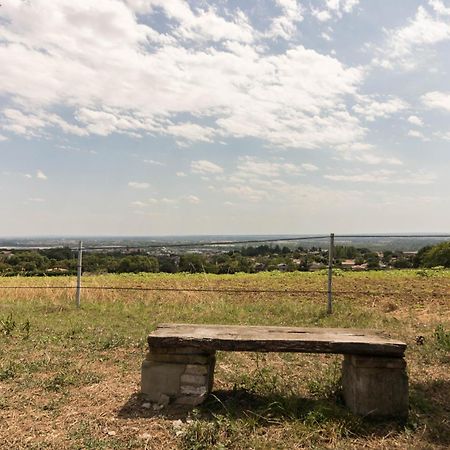 Gite Des Moulins Castelnau d'Estretefonds Bagian luar foto