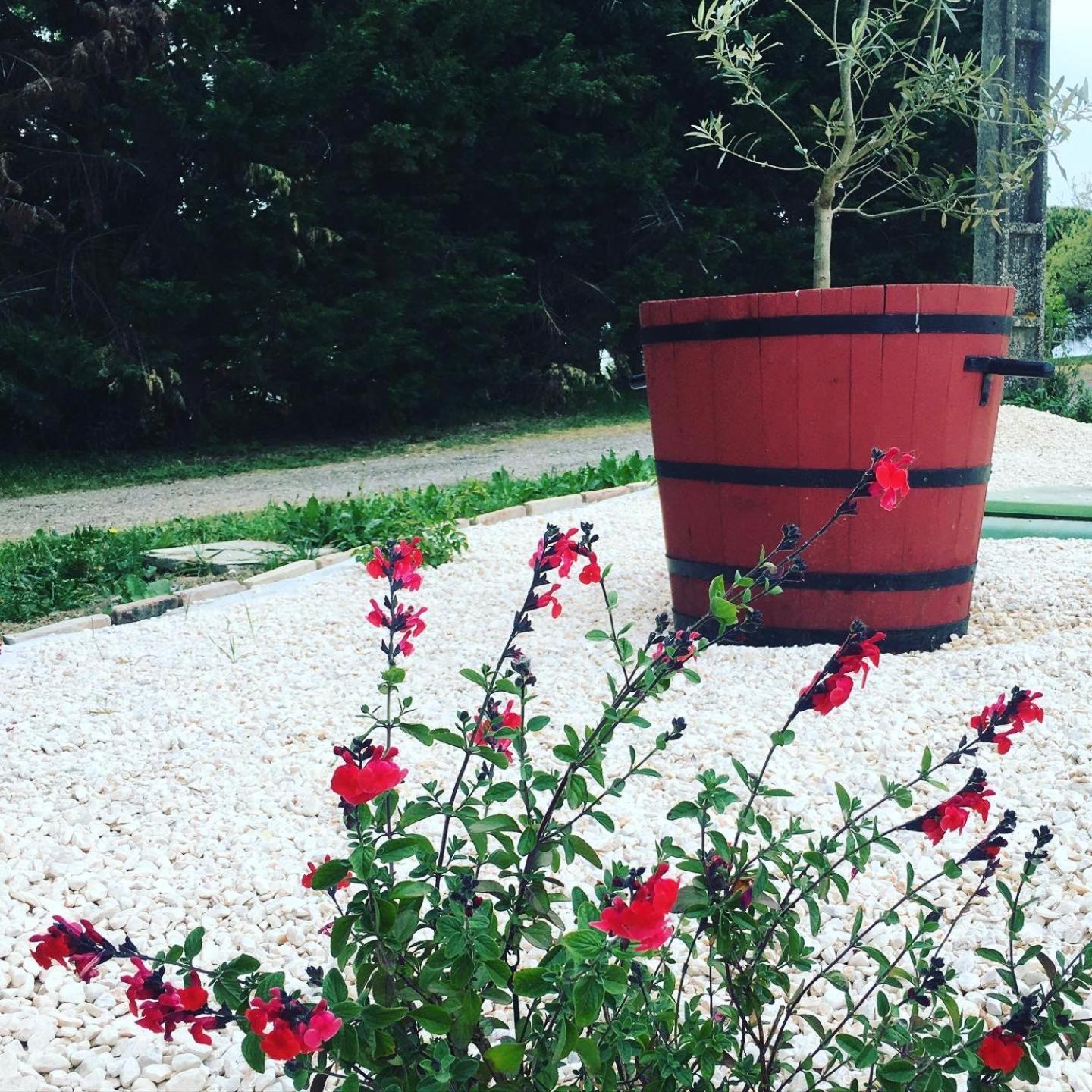 Gite Des Moulins Castelnau d'Estretefonds Bagian luar foto